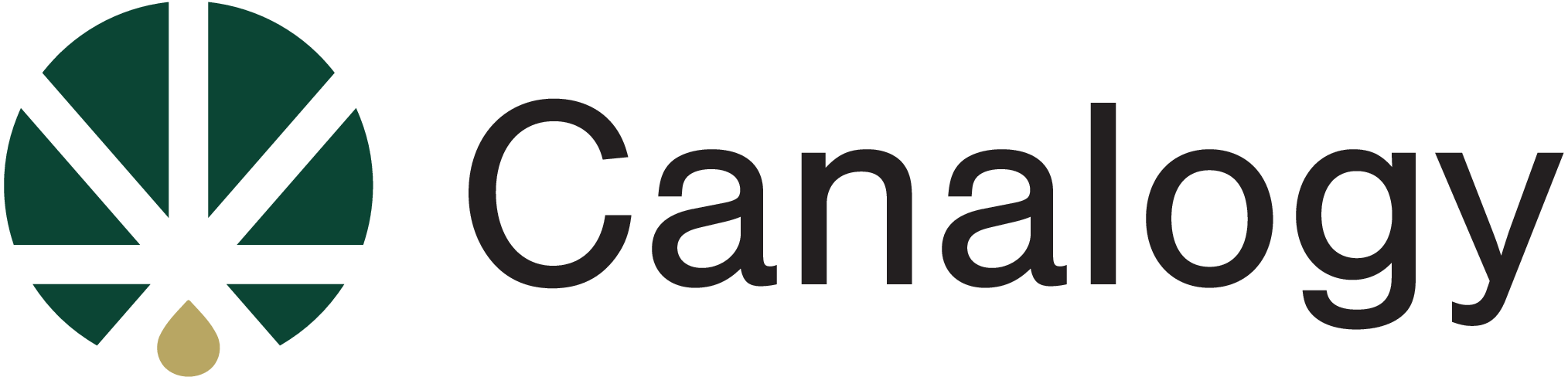 Canalogy.cz - Logo